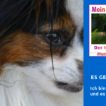 Episode 50 - Es geht weiter Mein lieber Hund Podcast