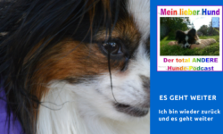 Mein lieber Hund Podcast