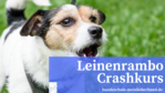 Leinenrambo Crashkurs online - Pilotkurs Leinenrambo Crashkurs Ankündigung